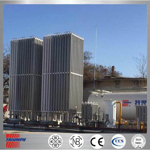 ASME/GB/NB/LNG气化器/LIN/LAr/LCO2/气化器电加热式循环水