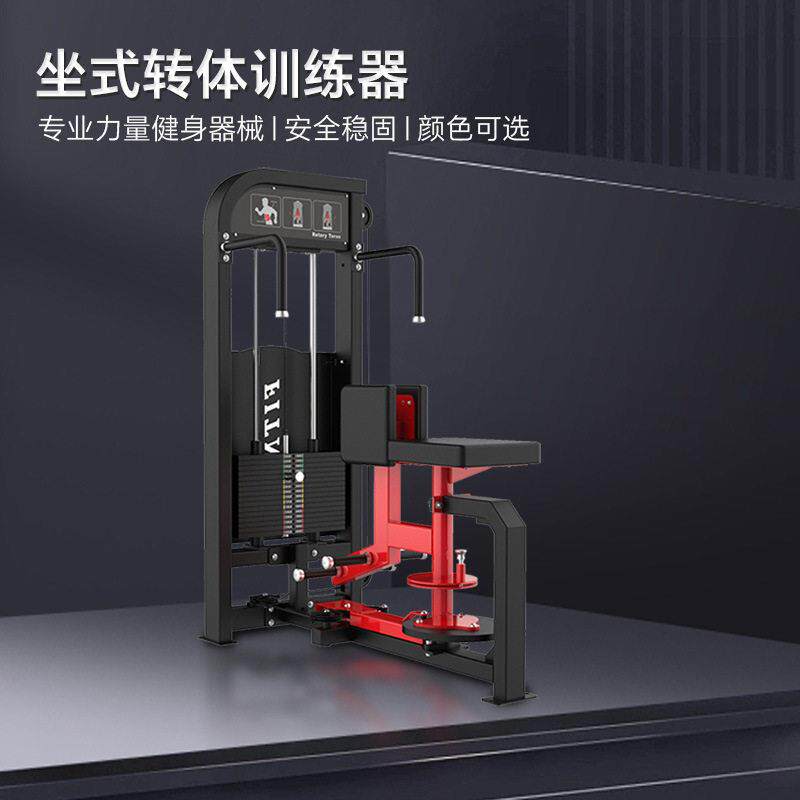 商用健身房用坐式转体训练器坐式腹肌训练器无氧运动健身