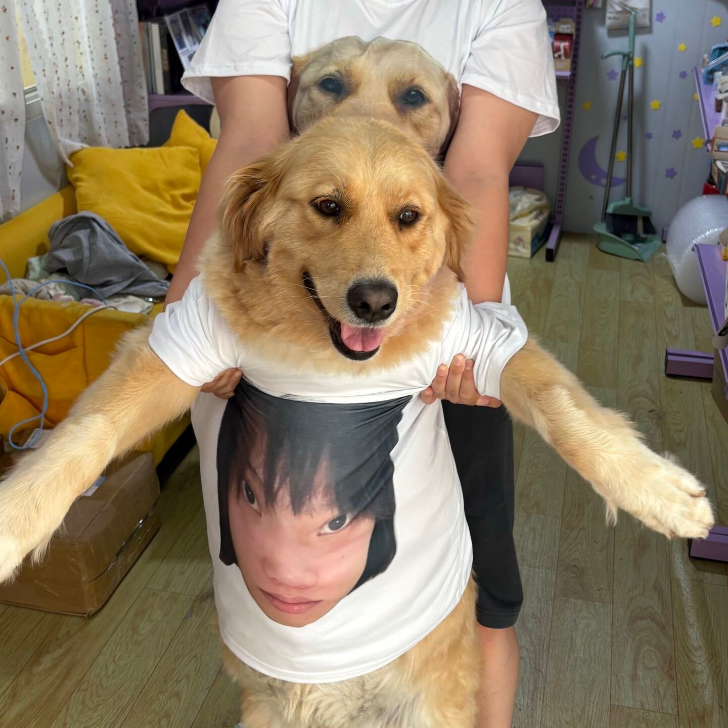 夏季薄款宠物猫咪狗狗亲子衣服休闲定制印人头宠物头图片文字短袖