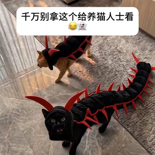 猫咪蜈蚣搞怪服饰万圣节cos服宠物服饰变身外出衣服猫猫蜈蚣装扮