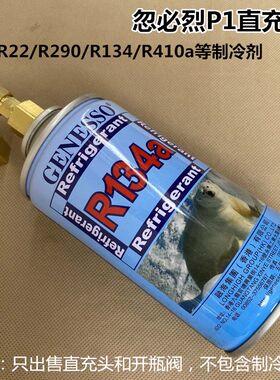 P1直充冷媒R22制冷剂R134600冲气阀P1饲料玩具直冲阀R290直充头