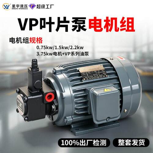 VP系列电机泵组1-3马力纯铜电机380V液压系统齿轮泵液压站电机组