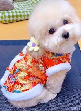 狗狗新年棉衣加厚加绒龙袍衣服比熊泰迪博美小型幼犬宠物猫咪冬装