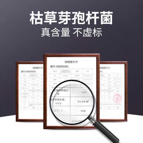 1000亿枯草芽孢菌杆菌水产养殖益生菌种鱼塘调水净化水质活菌原种
