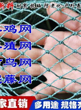 养殖网养鸡网尼龙网拦鸡网围鸡网家禽塑料网护栏网菜园围网防护网
