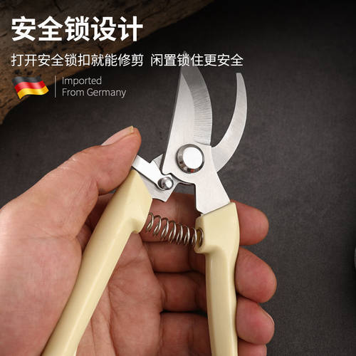 园艺剪刀修枝剪家用修剪树枝果树竹签园林花卉专用花艺剪子摘果剪