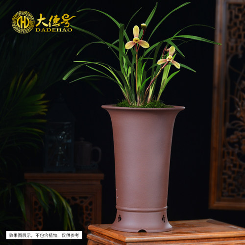 宜兴蕙兰紫砂兰花花盆陶瓷透气盆栽盆大号君子兰兰草兰花专用花盆