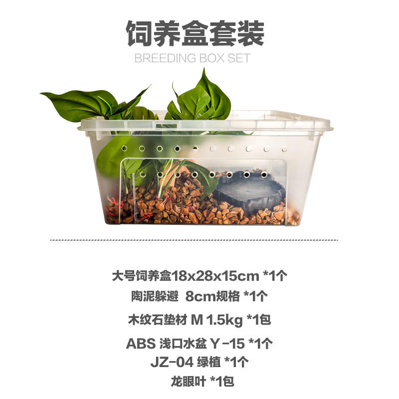 黄缘饲养套装安缘龟别墅半水龟景观缸乌龟智能饲养箱新手套装爬虫