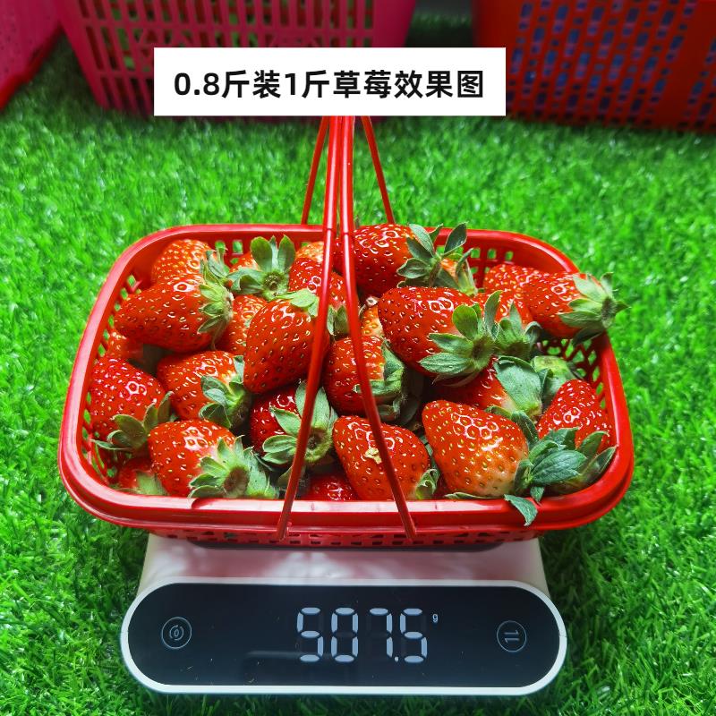 1斤装杨梅篮桑葚篮水果篮子樱桃篮草莓篮塑料篮长方形框胶框包邮