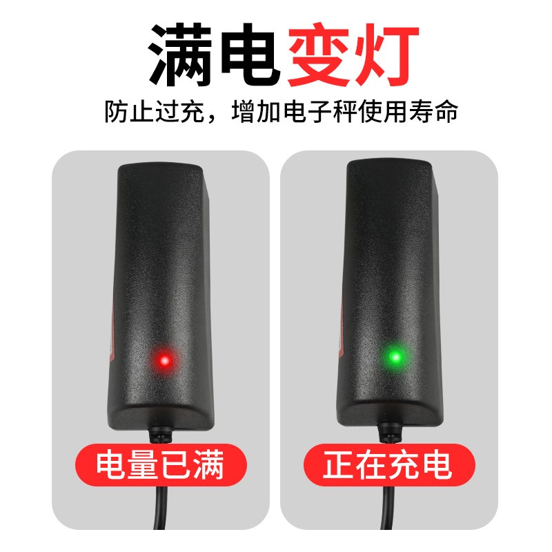 电子秤充电器电源线圆孔双槽充电线台秤吊钩秤通用型配件大全图片