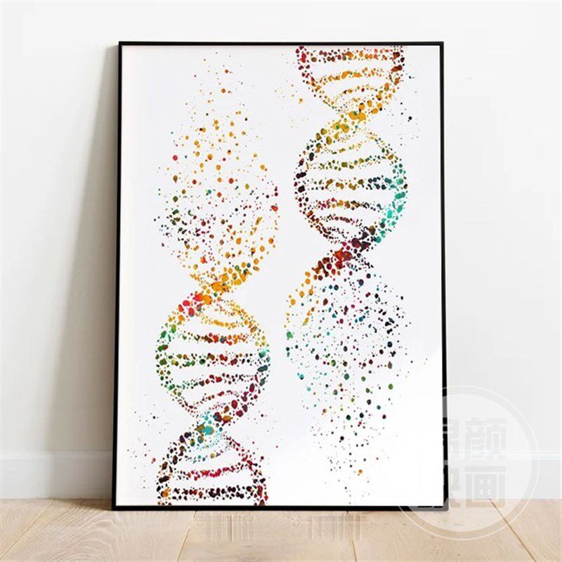 DNA双螺旋生物医学装饰画 细胞染色体有丝分裂遗传学科学科普挂画