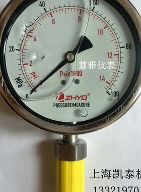 ZHYQ卫生型隔膜压力表 PT124Y-620-150MPa-M20-33mm 160MPA