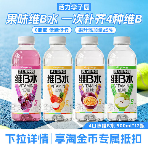 活力李子园低糖维B水500ml*12瓶