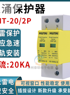 家庭装修家用家装急速防雷击避雷器电涌浪涌泳保护器2P 20KA 220V