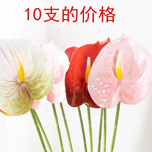 仿真掌红掌 白掌 绿掌 粉掌 花蚀拍摄道具家居店铺陈列饰品餐桌花