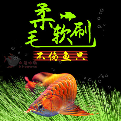孵化毛刷孵化草锦鲤产卵草水产繁殖鱼卵收集器金鱼鱼巢孵化刷