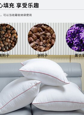 抱枕内胆套沙发枕芯白色抱枕皮枕头空套内套抱枕套不含芯靠垫靠枕