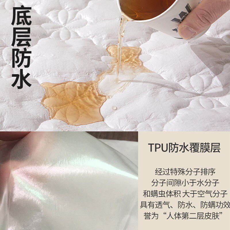 A类防水隔尿夹棉床笠单件床罩床垫保护罩防尘床套三件套2024新款