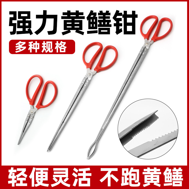 不锈钢黄鳝夹子鳝鱼夹捕泥鳅螃蟹钳子专用工具防滑控鱼器赶海神器
