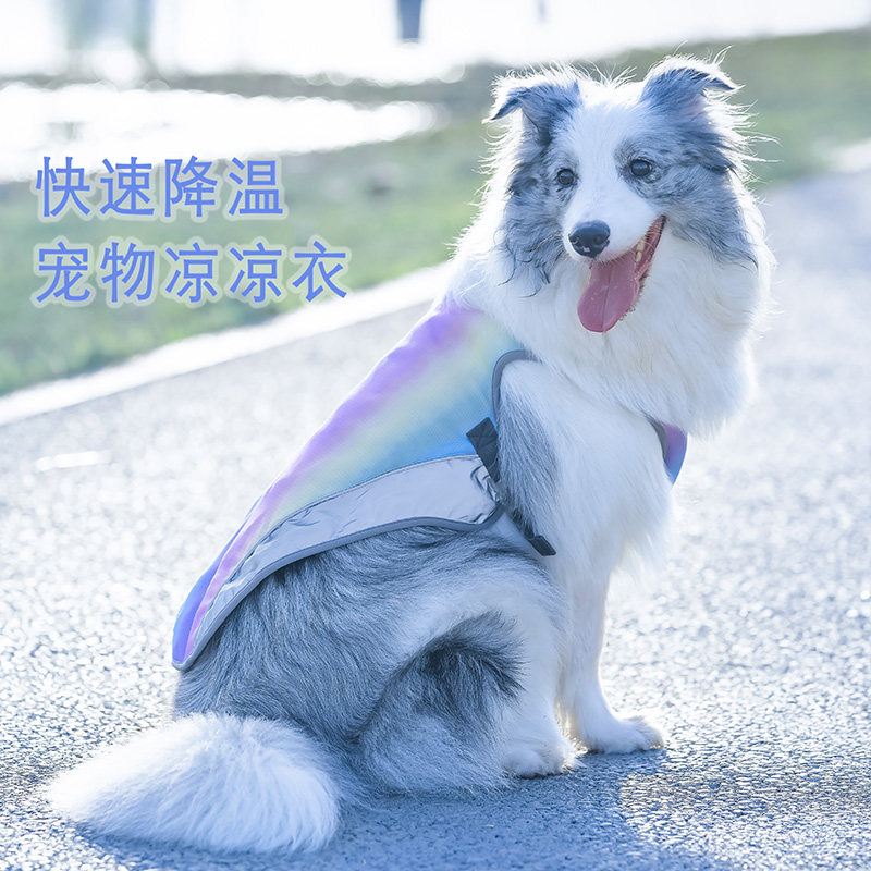狗狗凉凉衣大型犬夏季降温凉衣服背心胸背感夏天边牧宠物降温神器