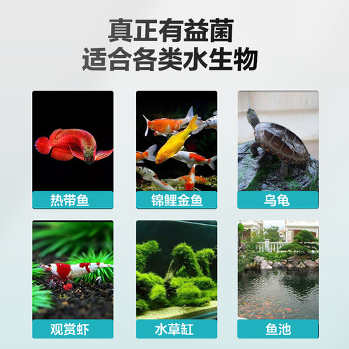 创宁硝化菌消化细菌养鱼水质净化剂净水稳定剂硝化细菌鱼缸用
