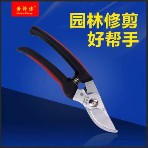 黄师傅园艺剪刀修枝剪果树剪树枝剪花剪整枝剪刀剪枝剪鸟嘴果枝剪