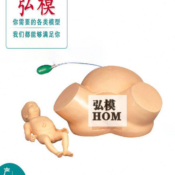 弘模高级难产示教训练模型,助产模型,接生示教模型,分娩模具
