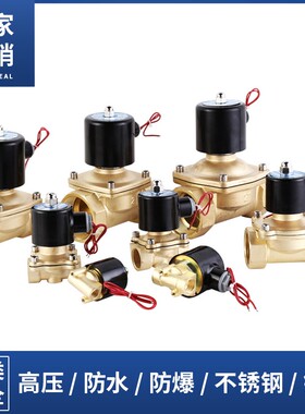 常开电磁阀控制水阀铜开关AC220V气阀DC24VDC12V 2分3分4分6分1寸