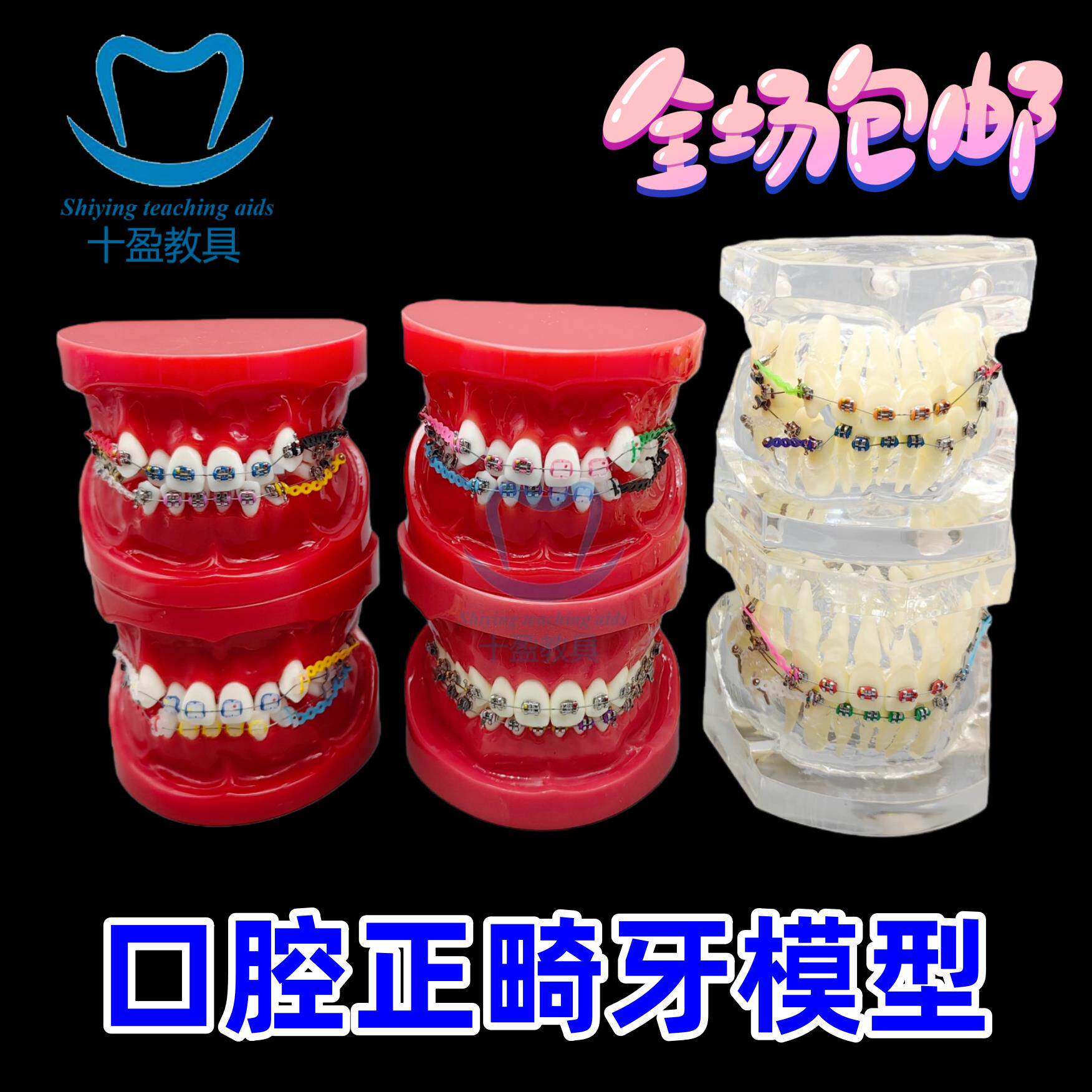 口腔正畸牙模型教学标本