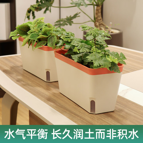 塑料花盆自吸水专用种植盆懒人长型阳台种菜神器家用植物花盆窗台
