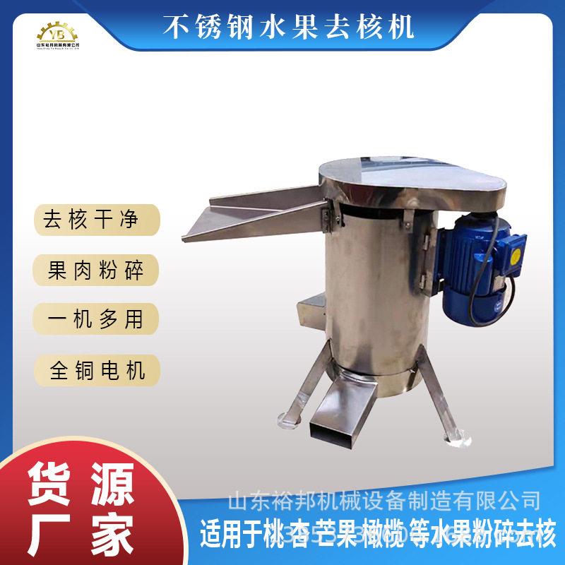 不锈钢油甘果去核机大产能1吨商用型酸枣芒果桃子去核打浆机
