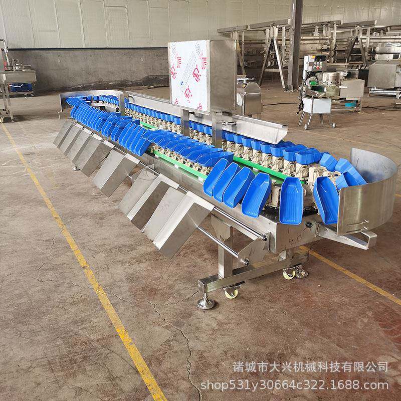 小龙虾鱼类称重分选机 枝果芒果选蔬筛机 土荔豆红薯OLF拣重分级