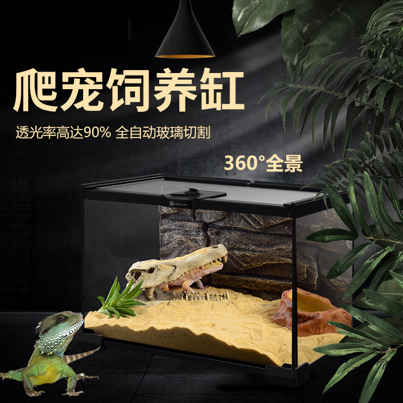 宠物玻璃缸角蛙懒人饲养套装背景板造景雨林缸睫角守宫栖息观赏
