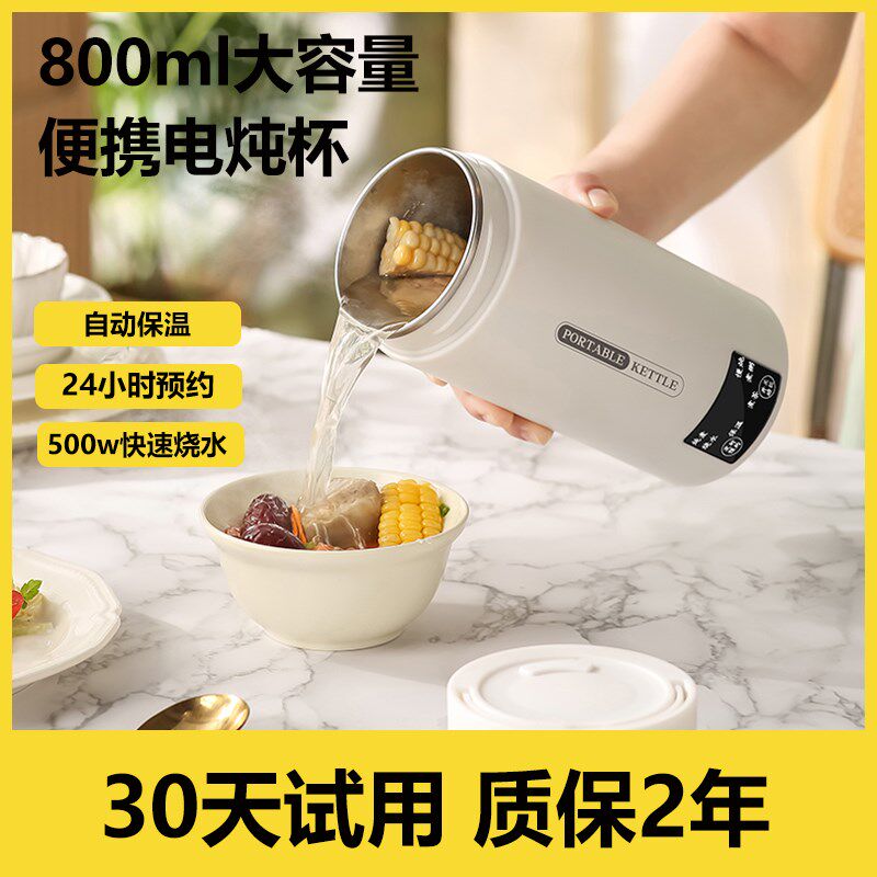 电炖杯多功能电热水杯小型养生杯便携式煮茶壶宿舍煮粥炖煮一体壶