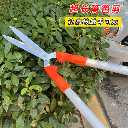 加长花剪修枝剪草坪剪绿篱剪果树剪园林修剪树枝伸缩灌木园艺剪刀