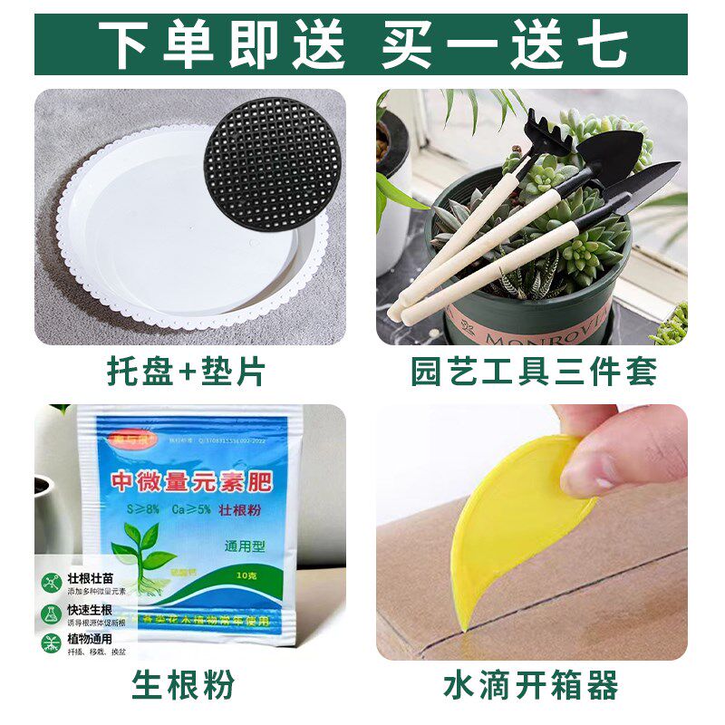 新款古典中国风陶瓷花盆特大号福字发财树金钱树室内客厅摆件