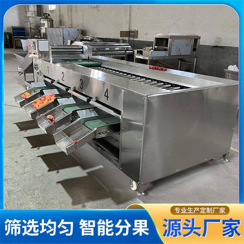 脐橙分选机不锈钢果冻橙分级机设备滚杠式油桃蟠桃水果分级机