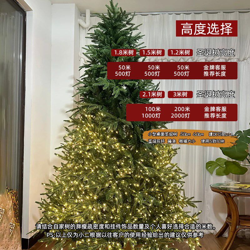 圣诞树节装饰品led小彩灯闪灯串灯满天星铜线灯氛围布置装饰灯带