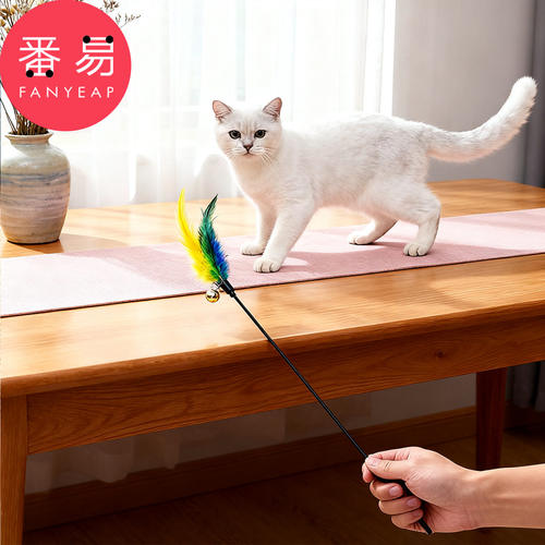 逗猫棒D1pq亥0-猫咪逗猫棒长杆彩