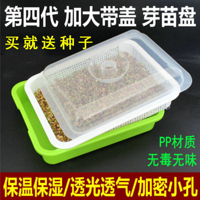 保温盘冬款带盖育苗盘芽菜种植盘保温保湿加密网格免纸芽苗菜