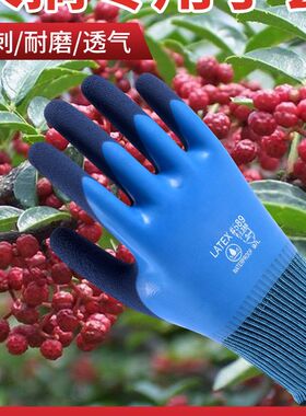 摘酸枣神器捡板栗手套伸缩杆防刺专用工具大全核桃花椒剥不扎手