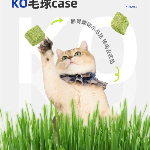 宝迪路猫草冻干鸡肉粒猫咪营养零食健康美味鸡肉猫草粒
