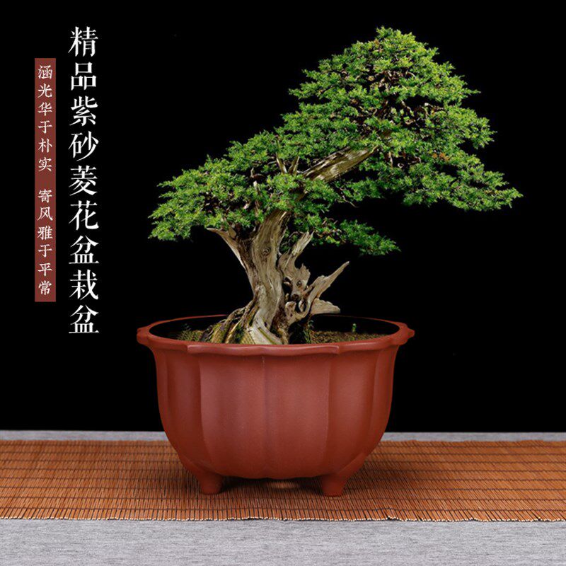 精品菱花紫砂兰花盆法师盆景盆桌面花卉个性陶瓷中国风家用包邮