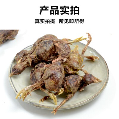 嘿多肉冻干小鸡仔宠物猫咪狗狗零食鸡肉营养鹌鹑泰迪金毛猫狗通用