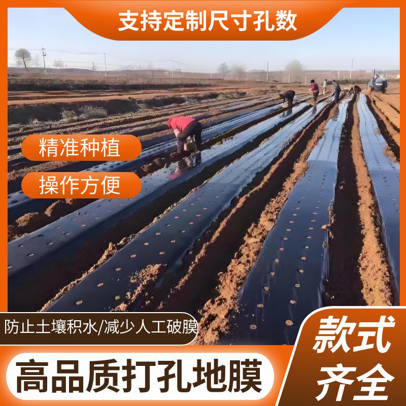 黑色塑料地膜薄膜农用圆孔大蒜种菜打孔果园羊肚菌全新料草莓除草