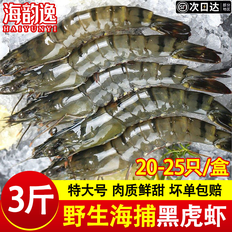 黑虎虾鲜活冷冻特大号老虎虾新鲜基围虾海虾九节虾年货虾商用批发