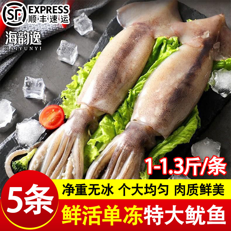 超大新鲜鱿鱼生鲜整只铁板烧烤专用食材商用冷冻批发火箭尤鱼须串