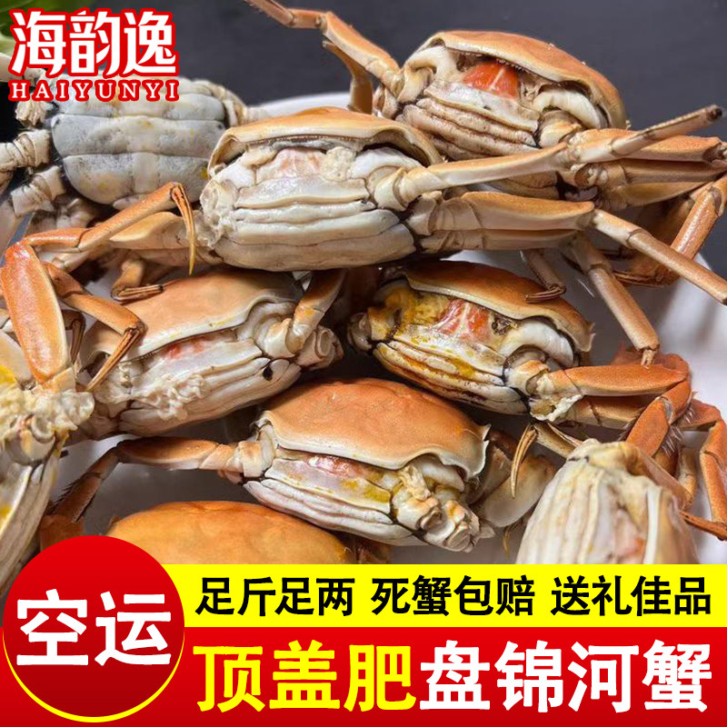 正宗盘锦河蟹鲜活特大闸蟹稻田螃蟹母蟹公蟹活蟹顺丰空运年货