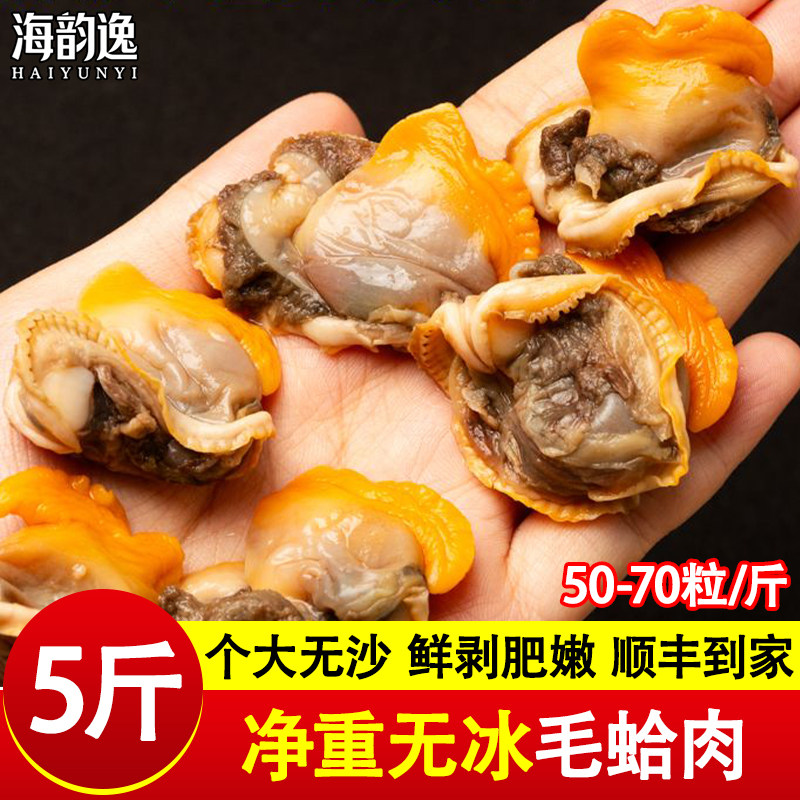 海韵逸毛蚶肉现剥赤贝肉特大号蛤蜊毛蛤肉新鲜蚬子肉冷冻无沙烧烤