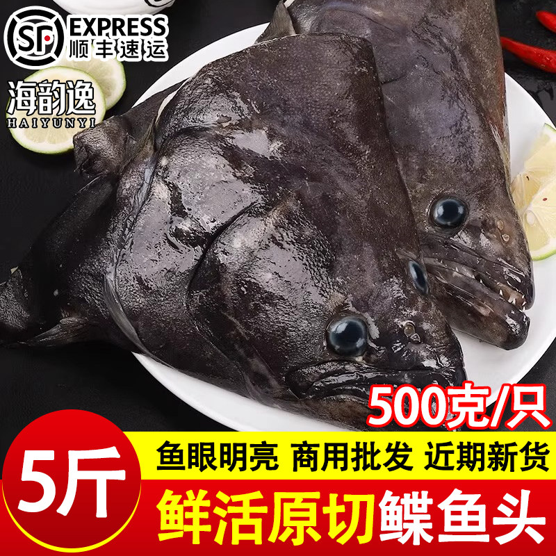 碟鱼头特大号现切鲜活冷冻鸦片鱼头新鲜深海鱼类海鲜商用批发整箱